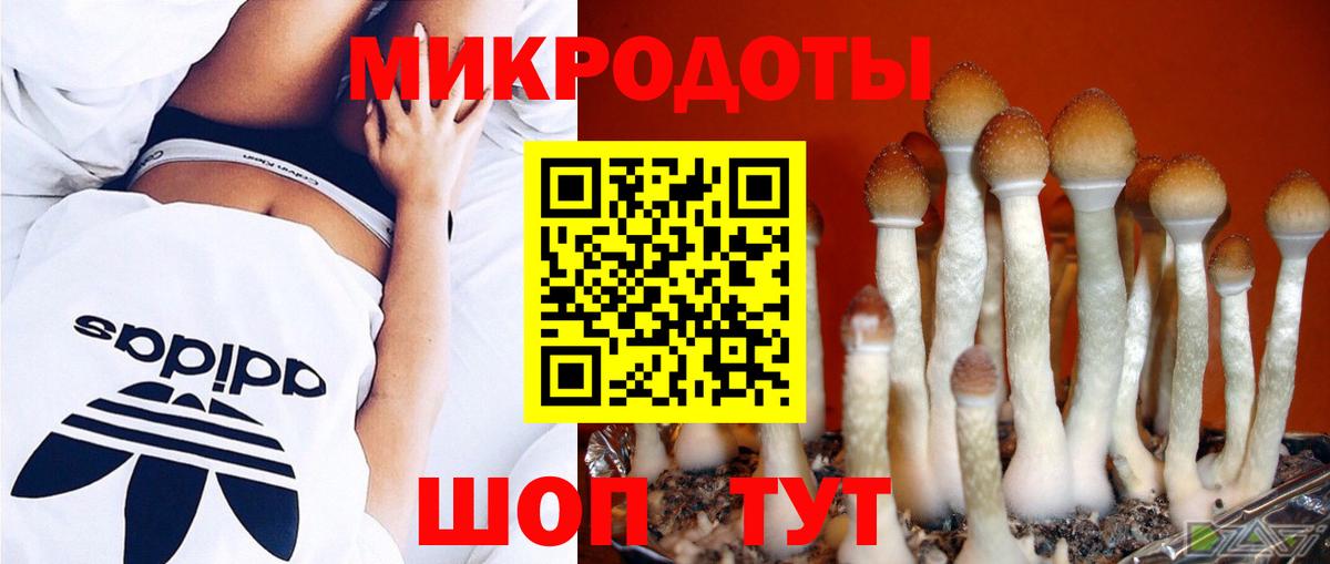 Галлюциногенные грибы Psilocybe  Вход с VPN  Кудрово 